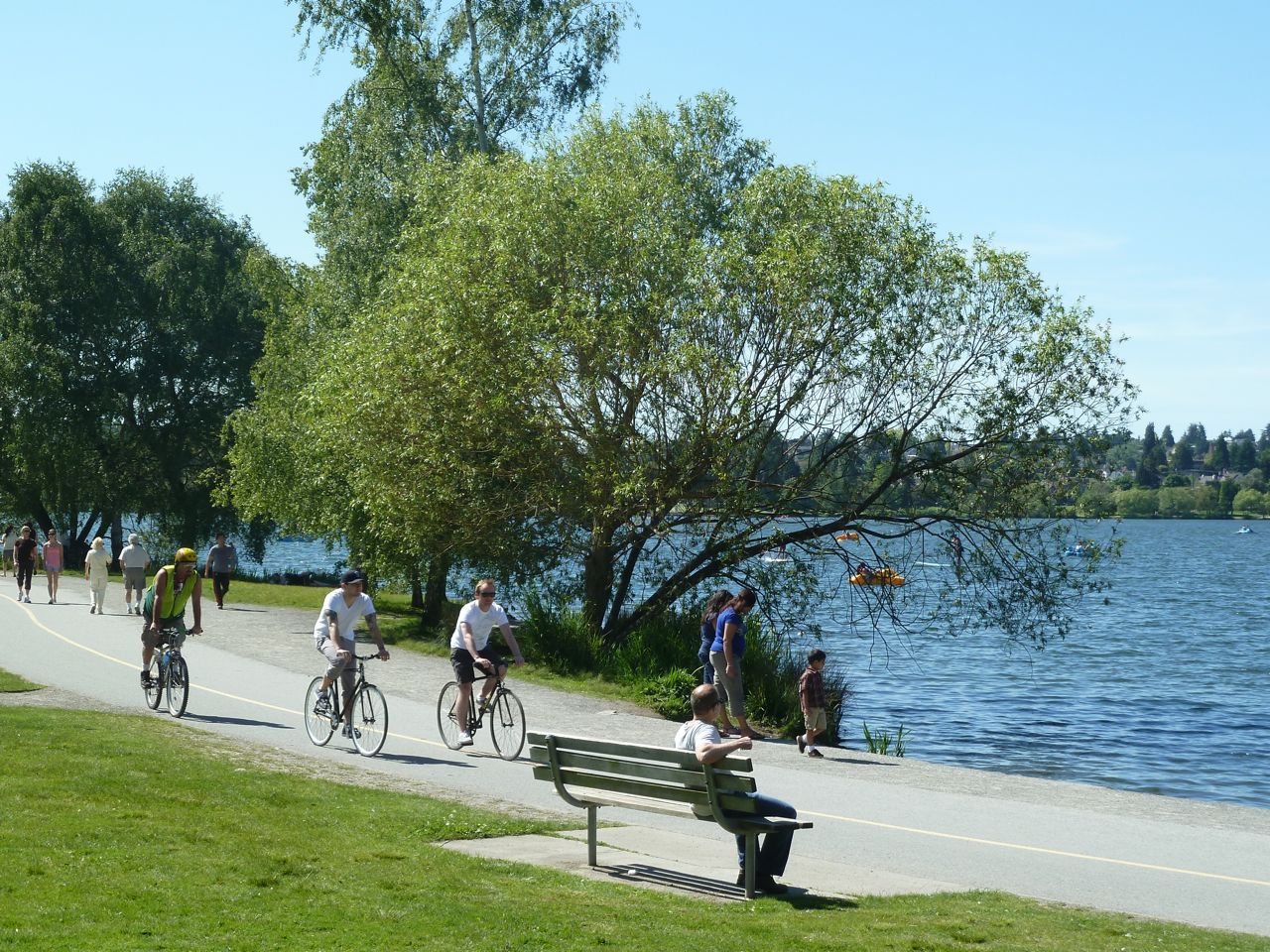 A man sitting on a bench, watching a busy bike path.